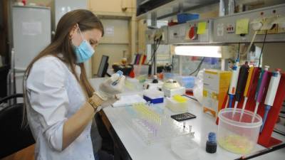 Исследование ученых из США указало на новые факты о коронавирусе - nation-news.ru - Сша - штат Миннесота