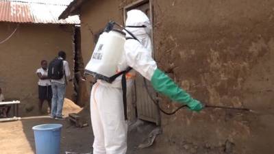 В Гвинее впервые за пять лет зафиксированы смертельные случаи Эболы - vesti.ru - Гвинея