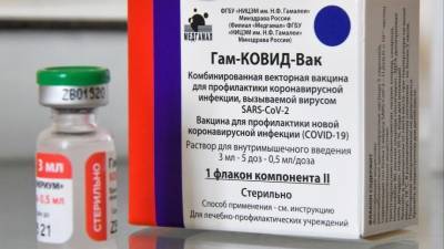 Владимир Путин - Паскаль Бонифас - Во Франции заявили о геополитической победе России за счет вакцины «Спутник V» - 5-tv.ru - Россия - Франция