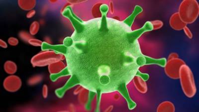 В посольстве КНР ответили на заявление США о происхождении коронавируса - 5-tv.ru - Сша - Китай - Вашингтон - Вашингтон