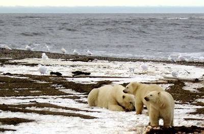 Юрий Паниев - Лавров и Керри обсудили сотрудничество в Арктике... - ng.ru - Сша - Китай