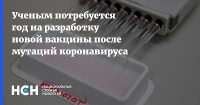 Россия - Ученым потребуется год на разработку новой вакцины после мутаций коронавируса - nsn.fm - Москва
