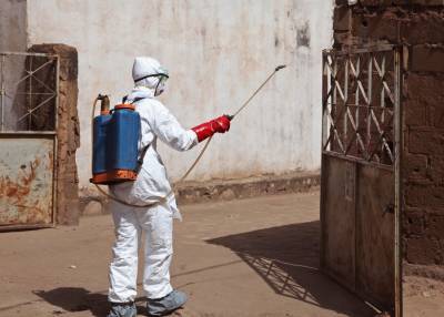 В Гвинее началась эпидемия Эболы - m24.ru - Гвинея