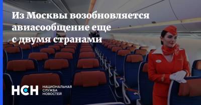Из Москвы возобновляется авиасообщение еще с двумя странами - nsn.fm - Россия - Москва - Азербайджан - Армения
