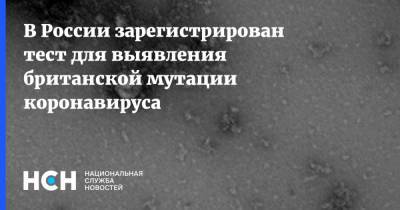 В России зарегистрирован тест для выявления британской мутации коронавируса - nsn.fm - Россия