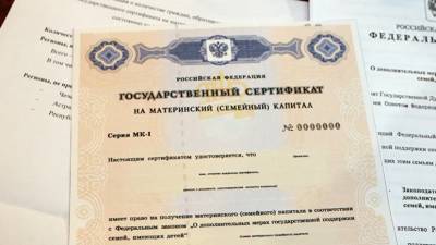 В России предложили разрешить направлять маткапитал на оплату частных воспитателей - russian.rt.com - Россия