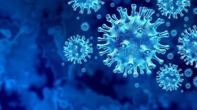 Питер Бен Эмбарек - В ВОЗ насчитали 13 штаммов коронавируса в Ухане - 5-tv.ru - Китай - Ухань