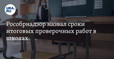 Рособрнадзор назвал сроки итоговых проверочных работ в школах - ura.news
