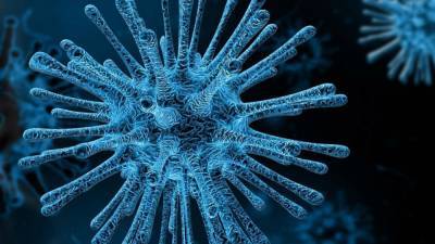Ученые из США нашли предел мутациям коронавируса - nation-news.ru - Сша - Нью-Йорк - Колумбия