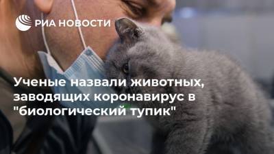 Ученые назвали животных, заводящих коронавирус в "биологический тупик" - ria.ru - Россия - Москва
