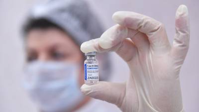 Константин Салаев - Кабмин ФРГ назвал условие для использования российской вакцины в Германии - nation-news.ru - Евросоюз