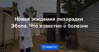 Новая эпидемия лихорадки Эбола. Что известно о болезни - news.mail.ru - Конго - Судан