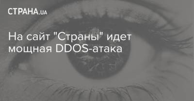 Петр Порошенко - На сайт "Страны" идет мощная DDOS-атака - strana.ua