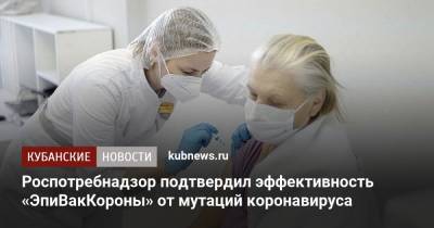 Роспотребнадзор подтвердил эффективность «ЭпиВакКороны» от мутаций коронавируса - kubnews.ru
