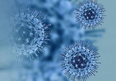 В десяти странах обнаружили новый штамм коронавируса - ya62.ru - Франция - Сша - Англия - Австралия - Канада - Испания - Дания - Иордания - Нигерия - Гана