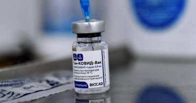 Подана заявка на регистрацию вакцины "Спутник V" в ЮАР - ren.tv - Юар