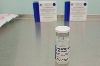 Звелини Мкиз - Подана заявка на регистрацию вакцины «Спутник V» в ЮАР - aif.ru - Юар