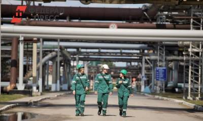 «Азот» вложит 5,5 миллиарда в инвестиционную деятельность и ремонты - fedpress.ru