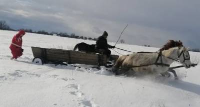 Пришлось везти на лошадях: скорая и спасатели не смогли добраться к пациентке из-за сугробов, фото - sport.politeka.net - Украина