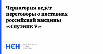 Россия - Черногория ведёт переговоры о поставках российской вакцины «Спутник V» - nsn.fm - Черногория