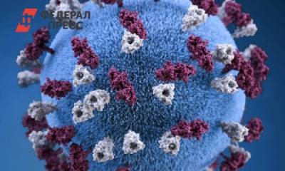 Ученые определили, какого цвета коронавирус в реальности - fedpress.ru - Париж