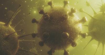 В Чехии назвали коронавирус "биологическим оружием Китая" - ren.tv - Китай - Прага - Чехия