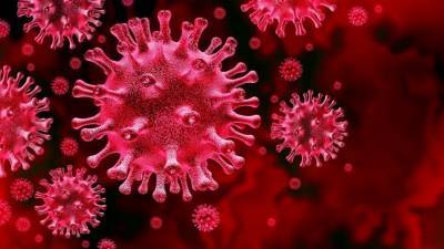 Дональд Трамп - В Чехии назвали коронавирус «биологическим оружием Китая» - 5-tv.ru - Сша - Китай - Прага - Чехия