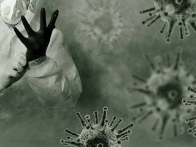 США спорят с ВОЗ: коронавирус мог быть создан в лаборатории - rosbalt.ru - Сша - Китай - Вашингтон