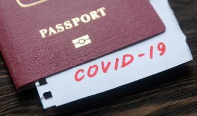 Майкл Райан - ВОЗ не нравится идея введения паспортов путешественников - mirnov.ru