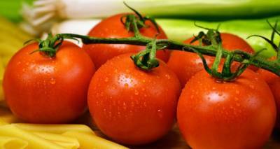 Узбекистан ввел запрет на импорт семян томатов и перца из Турции - ru.armeniasputnik.am - Турция - Узбекистан - Армения