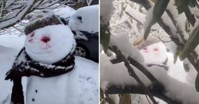 Видео с "самым жутким снеговиком" стало вирусным в Сети - ren.tv