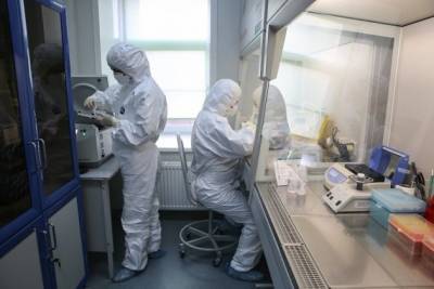 Эксперты обнаружили новый штамм коронавируса в десяти странах - chita.ru - Франция - Сша - Англия - Австралия - Канада - Испания - Дания - Иордания - Нигерия - Гана