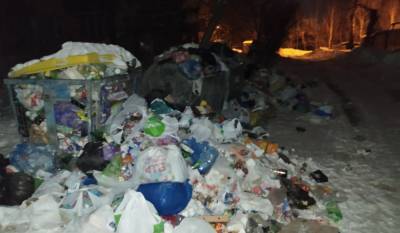 Алеся Украинка - Киев утопает в мусоре: коммунальщики не справляются с вывозом во время снегопадов, фото - politeka.net - Украина - Киев - Печерск