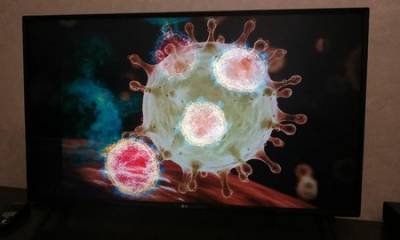 Андрэ Гютер - Какого цвета на самом деле коронавирус, ответили учёные - ufacitynews.ru