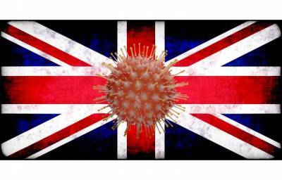 Британский вирус был обнаружен уже в 94 странах - aussiedlerbote.de - Япония - Женева - Бразилия