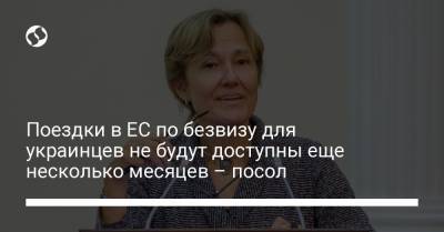 Поездки в ЕС по безвизу для украинцев не будут доступны еще несколько месяцев – посол - liga.net - Украина