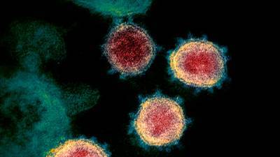 В Британии в рамках первого в мире исследования коронавируса заразят 90 добровольцев - bin.ua - Англия