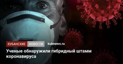 Бетт Корбер - Ученые обнаружили гибридный штамм коронавируса - kubnews.ru - Сша