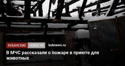 В МЧС рассказали о пожаре в приюте для животных - kubnews.ru - Краснодар