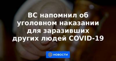 ВС напомнил об уголовном наказании для заразивших других людей COVID-19 - news.mail.ru - Россия