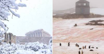 Афины и Ливию засыпало снегом, а в Антарктиде он порозовел - skuke.net - Ливия - Греция - Афины - Антарктида