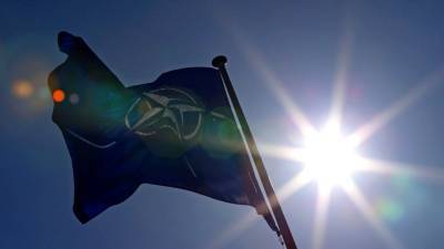 НАТО поставляет Украине антисептик для борьбы с COVID-19 - golos-ameriki.ru - Киев - Латвия