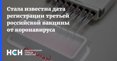 Александр Бутенко - Стала известна дата регистрации третьей российской вакцины от коронавируса - nsn.fm - Россия