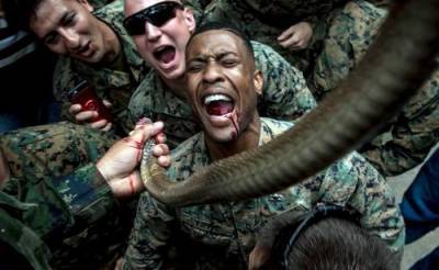 Военнослужащим США запретят пить кровь кобры во время учений на выживание в джунглях? - argumenti.ru - Сша