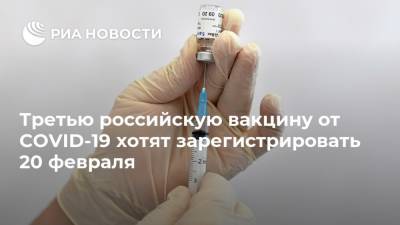 Татьяна Голикова - Россия - Третью российскую вакцину от COVID-19 хотят зарегистрировать 20 февраля - ria.ru - Москва