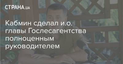 Кабмин сделал и.о. главы Гослесагентства полноценным руководителем - strana.ua