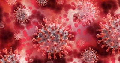 В Норвегии подтвердили новый штамм коронавируса - dsnews.ua - Сша - Англия - Норвегия - Дания