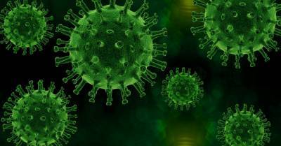 В Роспотребнадзоре заявили, что британский штамм коронавируса не распространяется в России - abnews.ru - Россия