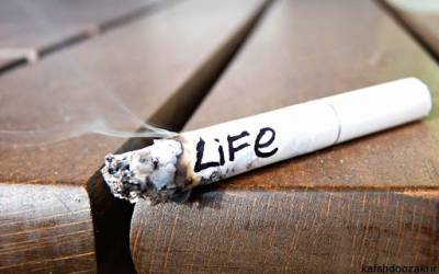 "Сухое пьянство" и "убийца ковбоев": Интересные и шокирующие факты о курении - vchaspik.ua - Украина