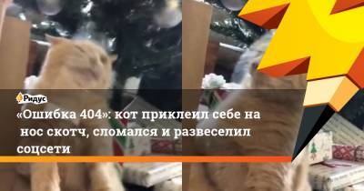 «Ошибка 404»: кот приклеил себе нанос скотч, сломался иразвеселил соцсети - ridus.ru